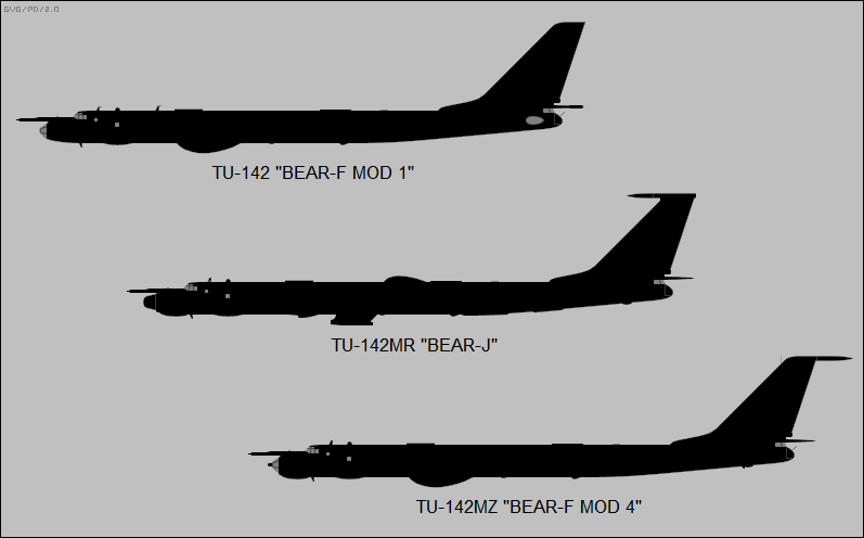 Tu-142 variants