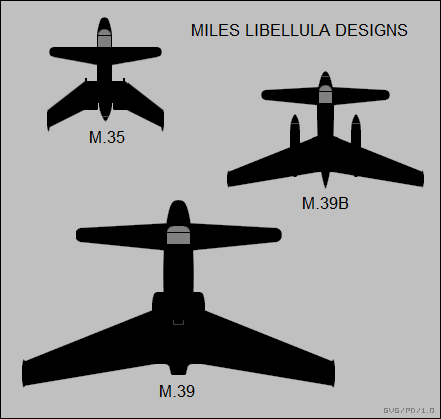 Miles Libelulla designs
