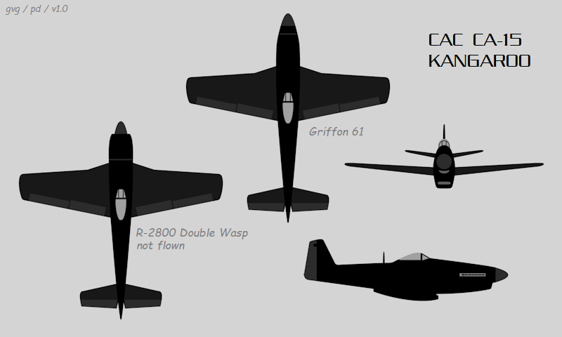 Super-Rare XP-82 Twin Mustang Flies Again