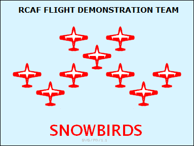 Forças Armadas Canadenses Snowbirds
