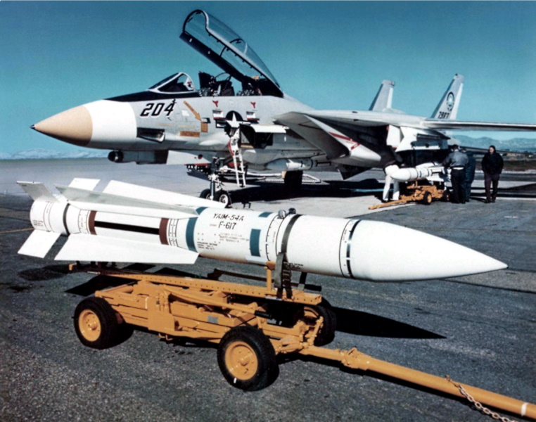 AIM-54 Phoenix AAM & F-14 Tomcat