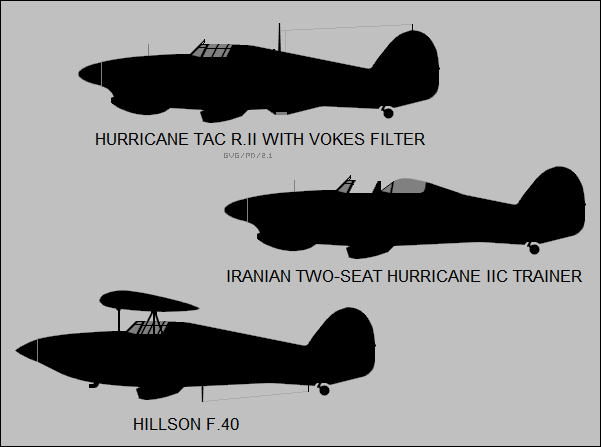 Hurricane Tac R.I, Iranian trainer, Hillson F.40