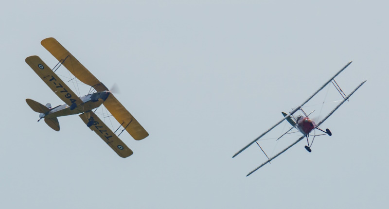 flock of de Havilland DH.82 Tiger Moths