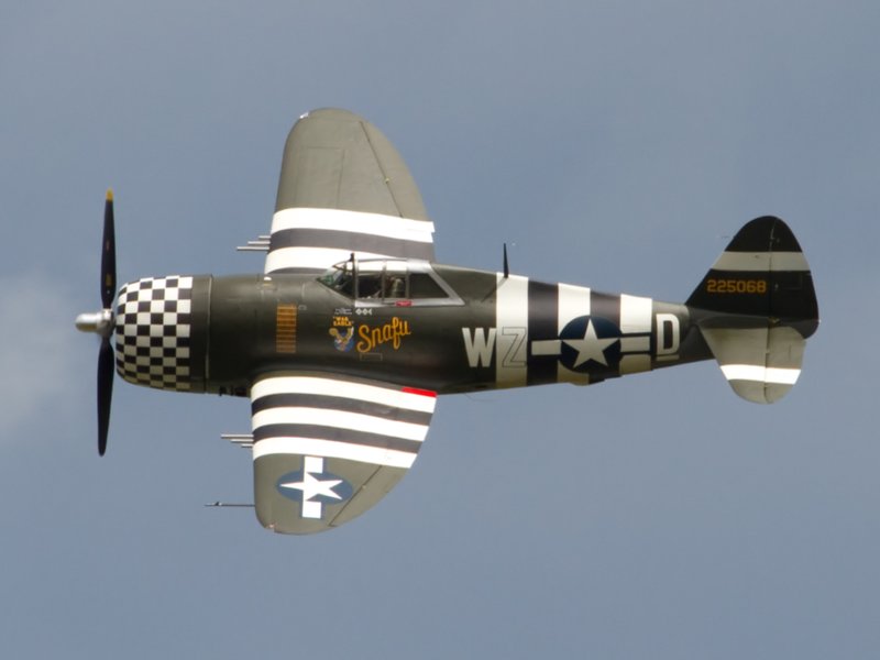 razorback P-47D with invasion stripes