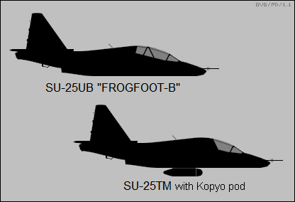 Sukhoi Su-25UB Frogfoot-B, Su-25TM