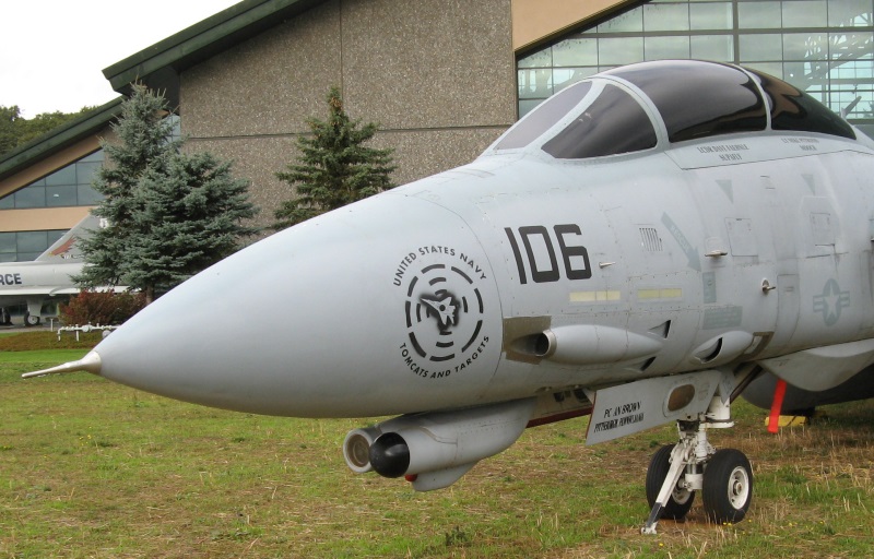 F-14D nose detail